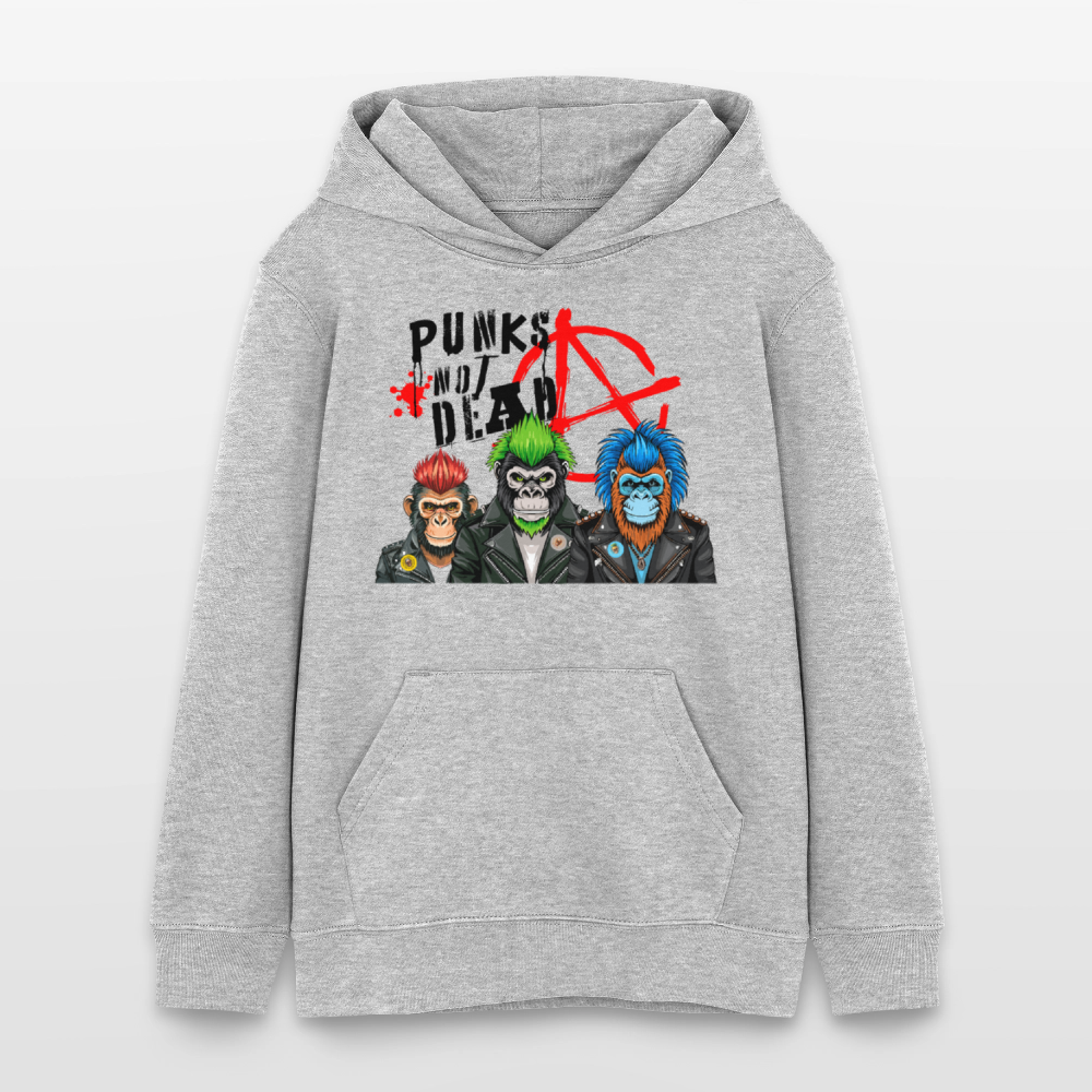 MNJS TEENS Bio-Hoodie mit PUNKS NOT DEAD PRINT - Grau meliert