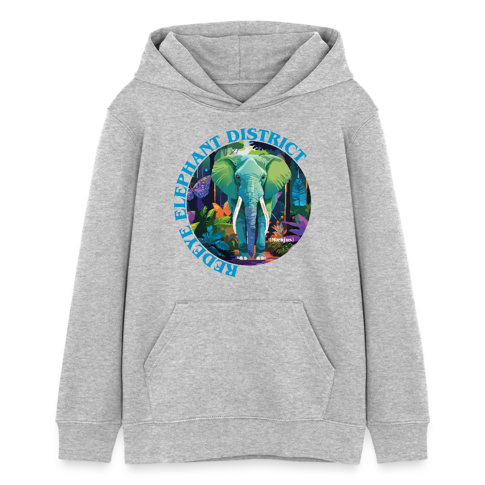 MNJS TEENS Bio-Hoodie mit REDEYE ELEPHANT DISTRICT PRINT - Grau meliert