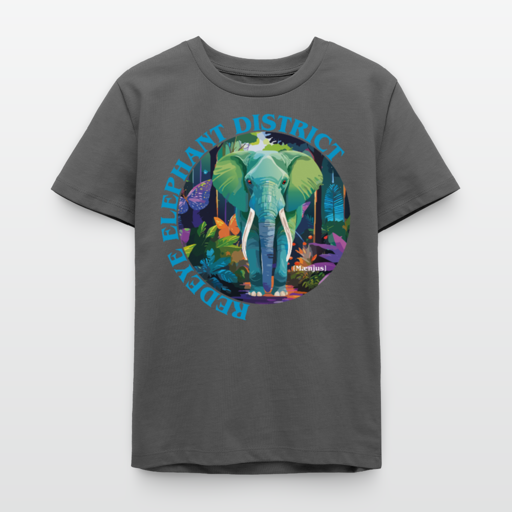 MNJS TEENS Bio T-Shirt mit REDEYE ELEPHANT DISTRICT PRINT - Anthrazit