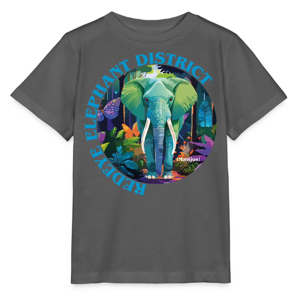 MNJS KIDS T-Shirt mit REDEYE ELEPHANT DISTRICT PRINT - Anthrazit
