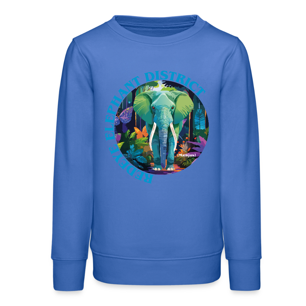 MNJS TEENS Bio Sweatshirt mit REDEYE ELEPHANT DISTRICT PRINT - carolina Blue