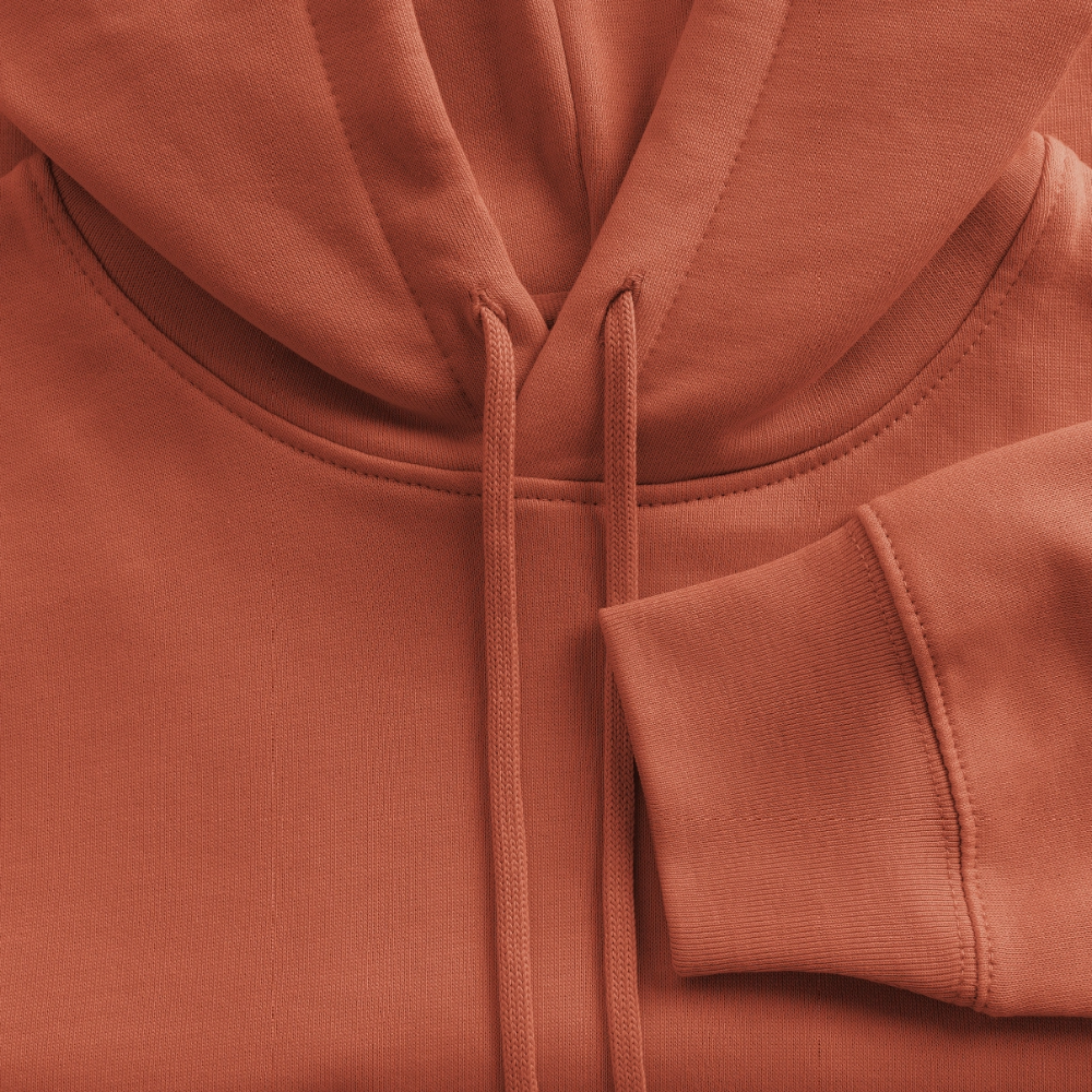 Boxy Frauen Bio Hoodie mit DELIKATEZZA SARDINE PRINT Vorder- und RÜCKSEITE - Terrakotta