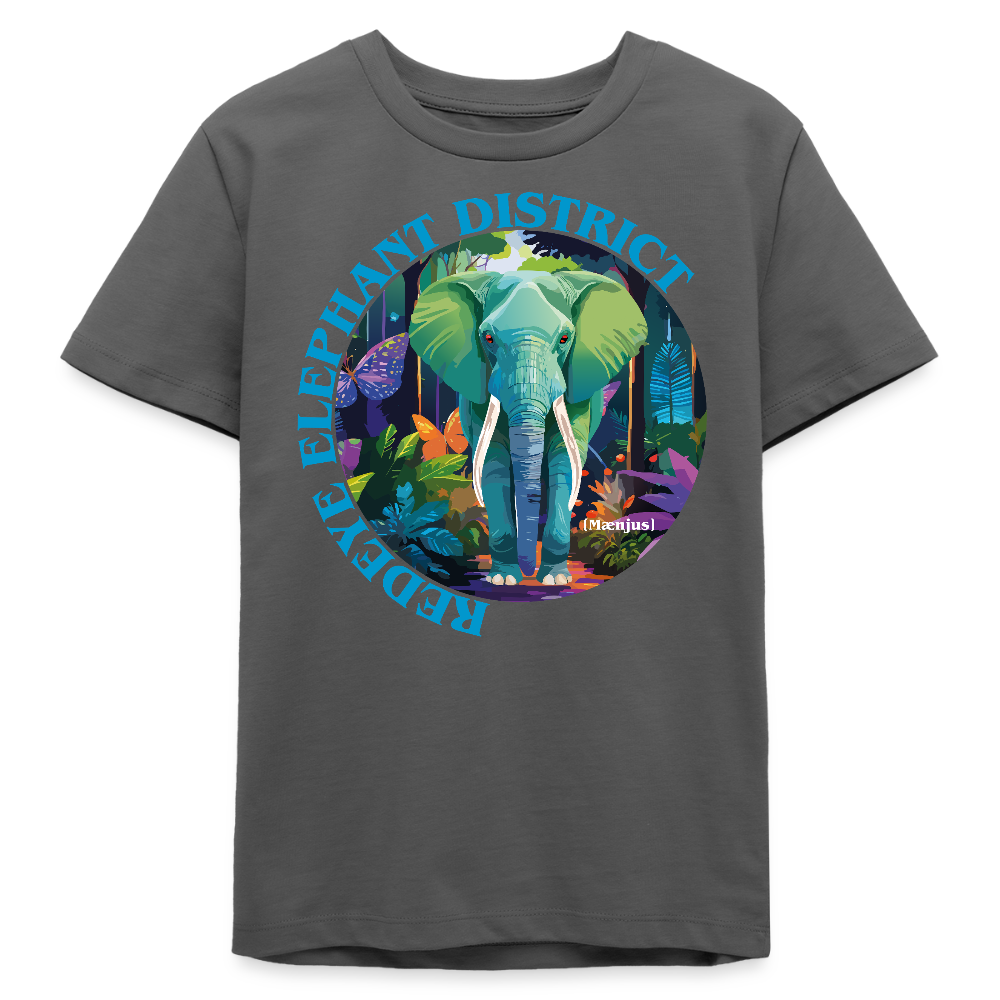 MNJS TEENS Bio T-Shirt mit REDEYE ELEPHANT DISTRICT PRINT - Anthrazit